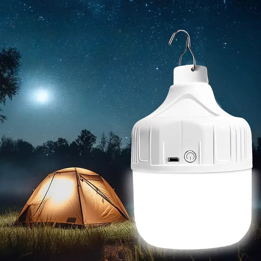 USB & Solar Powered Outdoor Light